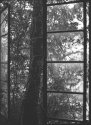 Old Barn Window