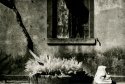 Torcello Lith No.1
