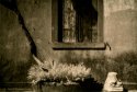 Torcello Lith No.2