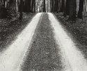 Firetower Road - REPRINT