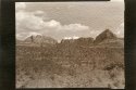 Vandyke Postcards