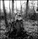 Roots; Freyha, Brussels 2012
