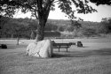 Argust 13th: Resting Spot