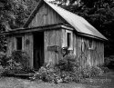 The Homestead