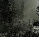 Slate River Morning
