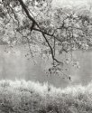 Branch, Clarion River