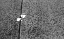 Fragments