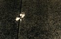 Fragments - print