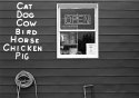 Cat...