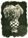Platinum Print -  Vase & Flowers