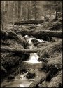 Upper Quilcene