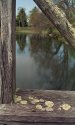 Spiderweb on wooden footbridge over Spring Lake