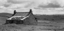 Old Homestead