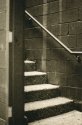 Stairway with selenium