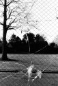 From the Archive - School Days