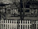 picketfence