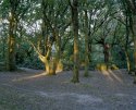 Welsh Harp