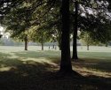 Welsh Harp