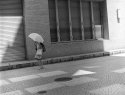 umbrella for a sunny day