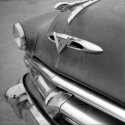 Dodge 8
