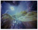 Noon Sunflower Flare