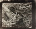 Deadfall (redux)