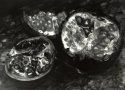 Pomegranates (RR macro)