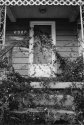 Overgrown