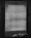Blinds, towel