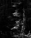 Cathedral Grove
