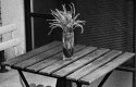 Slatted table