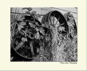Wheels of Misfortune