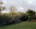 Welsh Harp