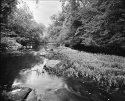 8x10 X-Ray Film Images of Orange County, NC