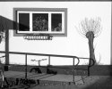 img016-1 web