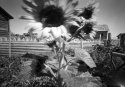 High Desert Garden
