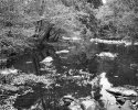 Eno River Fews Ford