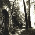 High Noon in the park