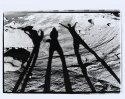 Fun With Shadows, Florence Lake