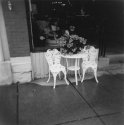 Toy Camera Day
