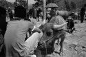 Cattle Fair