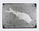 Asphalt Glyph