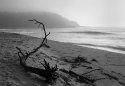 Sea Fog.