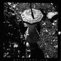 MSA - High Noon - Proof