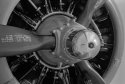 B17G