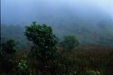 Velvia - in the clouds