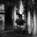 Planter, Staircase, Courtyard, Chalon-sur-Saone