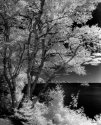 Cabot Trail