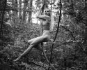 Into the Wild (1)