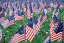 Happy Veterans Day! - Kodachrome 2010